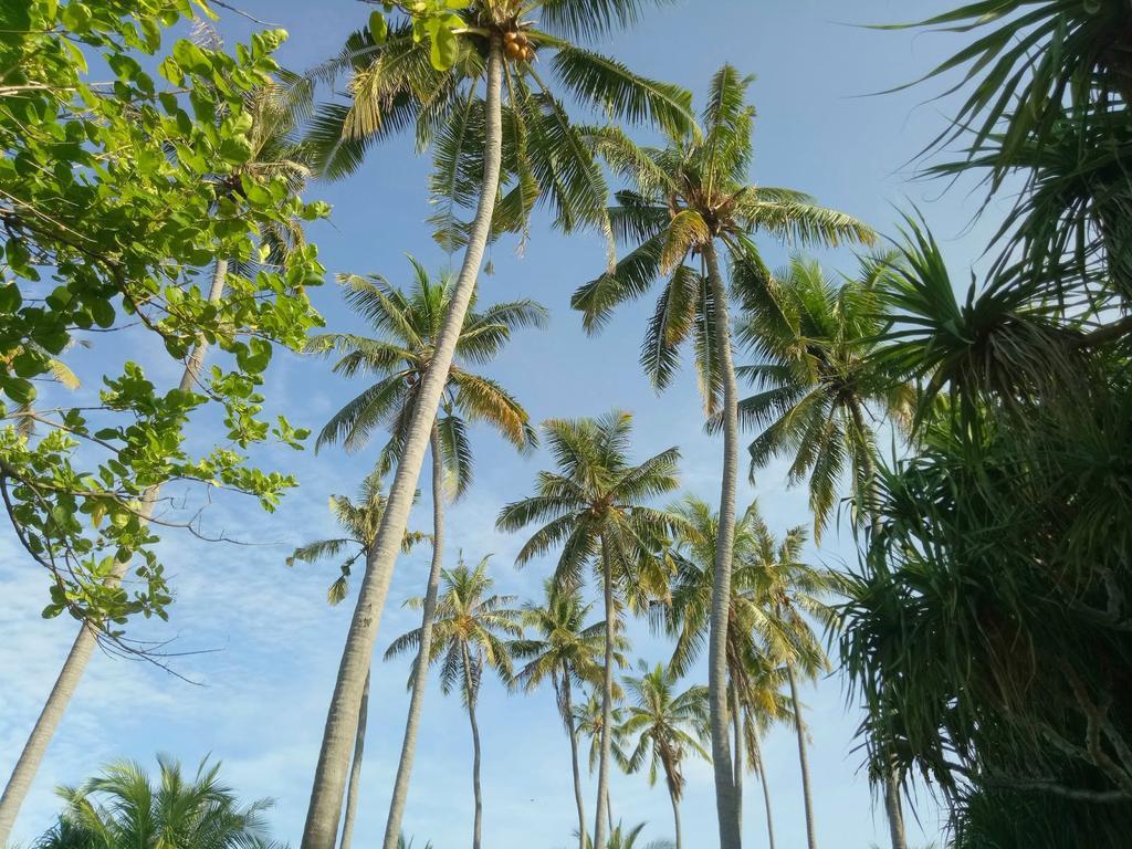 Puri Saron Senggigi Hotel Kültér fotó