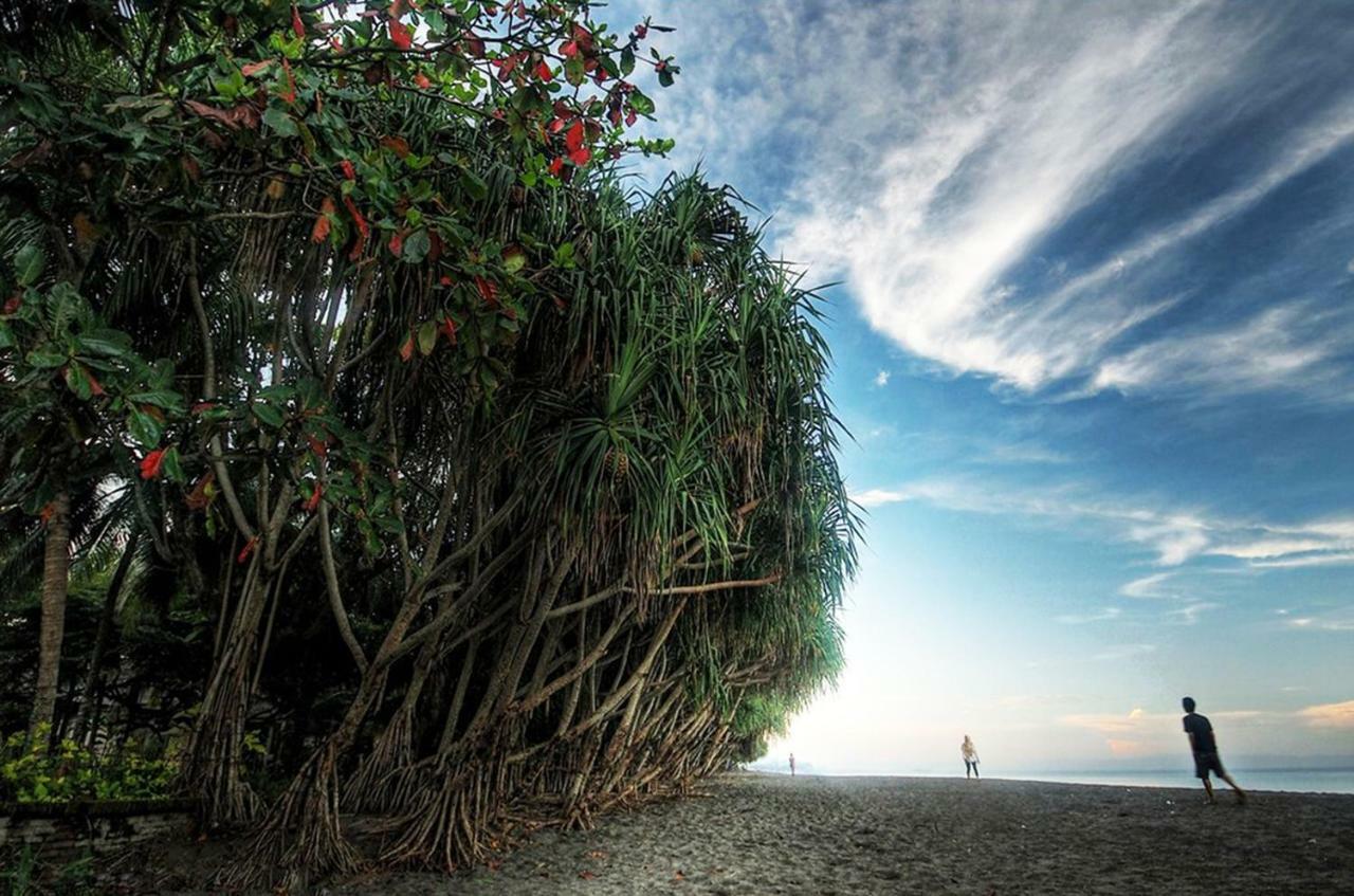 Puri Saron Senggigi Hotel Kültér fotó